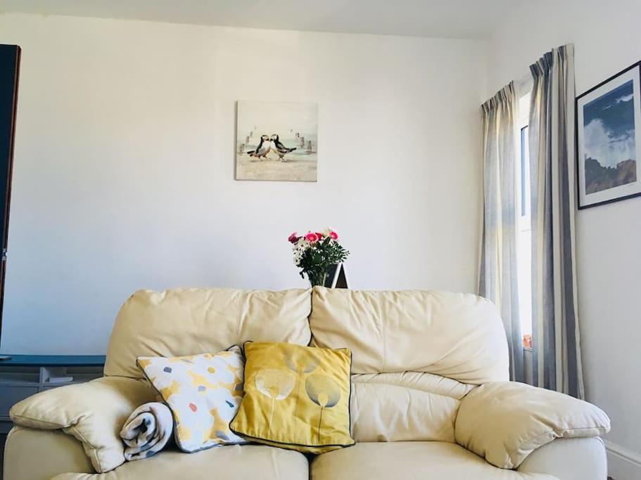 Hillcrest Cottage, Comfy Flat, Trendy Uplands Area Swansea Zewnętrze zdjęcie
