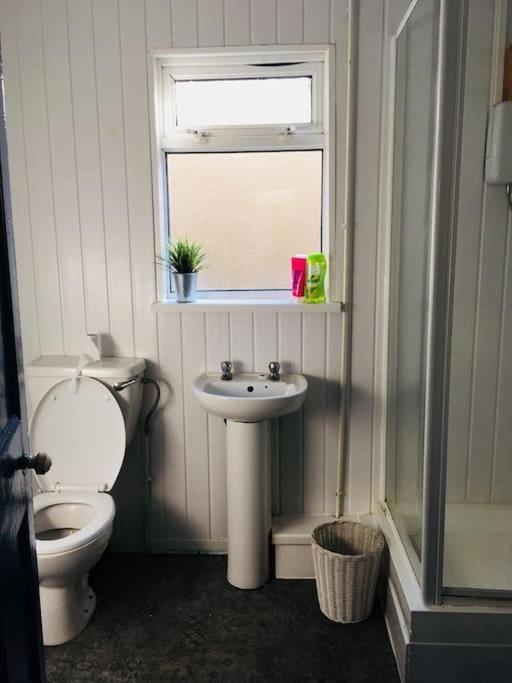 Hillcrest Cottage, Comfy Flat, Trendy Uplands Area Swansea Zewnętrze zdjęcie